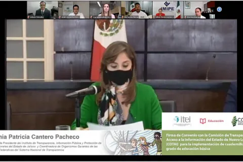 Captura de pantalla de la sesión virtual