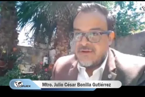 Captura de pantalla de la sesión virtual