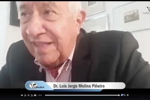 Captura de pantalla de la sesión virtual