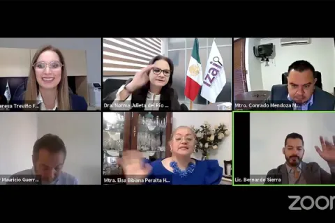 Captura de pantalla de la sesión virtual