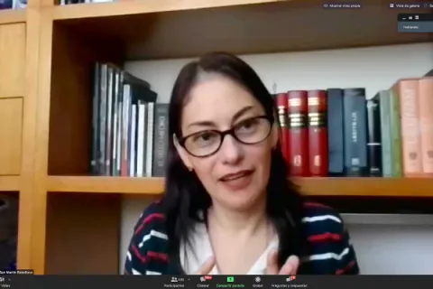 Captura de pantalla de la sesión virtual