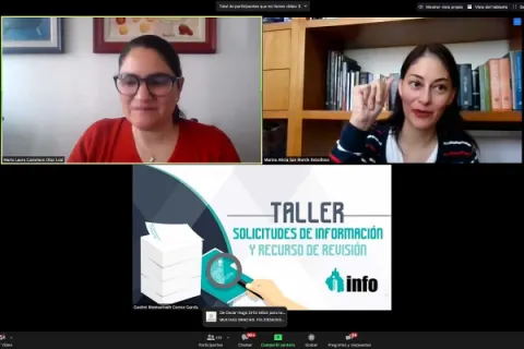 Captura de pantalla de la sesión virtual