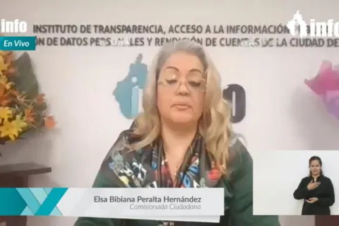 Captura de pantalla de la sesión virtual