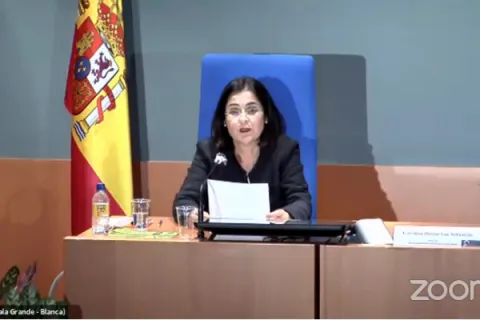 Captura de pantalla de la sesión virtual