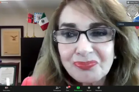 Captura de pantalla de la sesión virtual