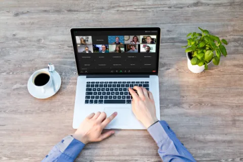 Captura de pantalla de la sesión virtual