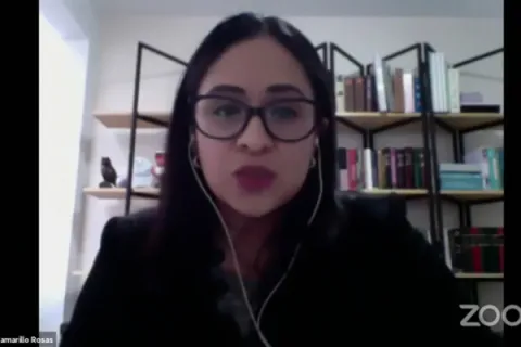 Captura de pantalla de la sesión virtual