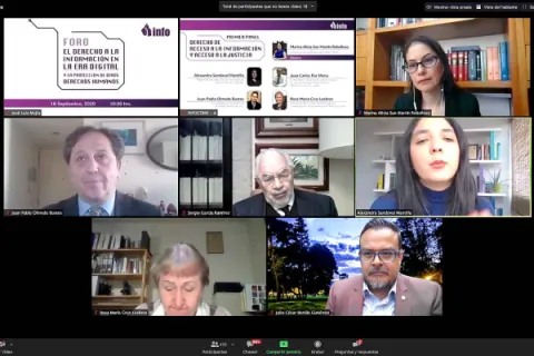 Captura de pantalla de la sesión virtual