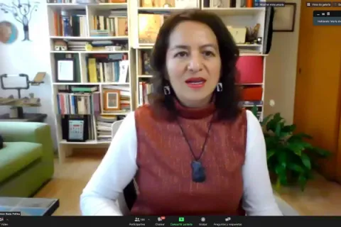 Captura de pantalla de la sesión virtual