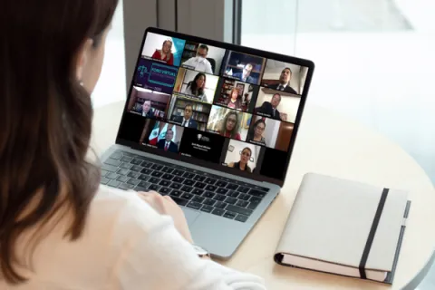 Captura de pantalla de la sesión virtual