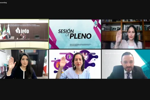 Captura de pantalla de la sesión virtual