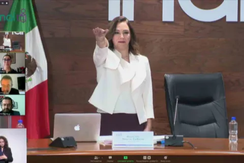 Captura de pantalla de la sesión virtual
