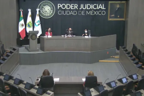 Captura de pantalla de la sesión virtual