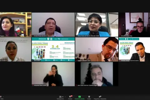 Captura de pantalla de la sesión virtual