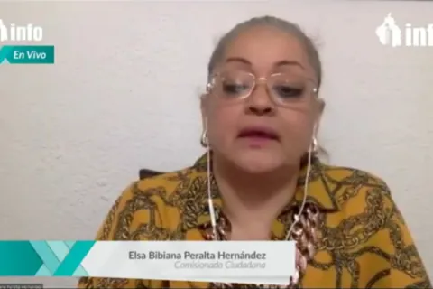Captura de pantalla de la sesión virtual
