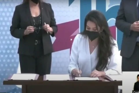 Captura de pantalla de la sesión virtual