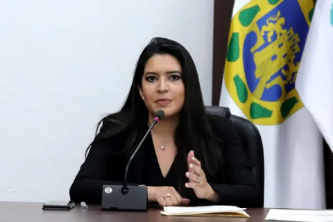 Captura de pantalla de la sesión virtual