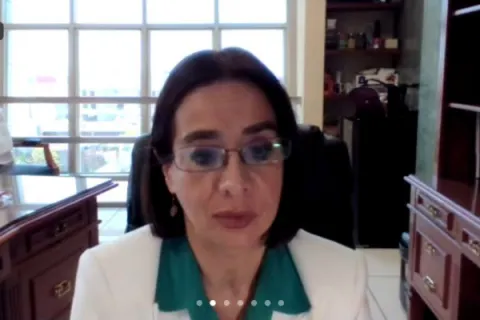 Captura de pantalla de la sesión virtual
