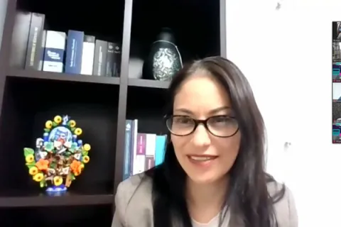 Captura de pantalla de la sesión virtual