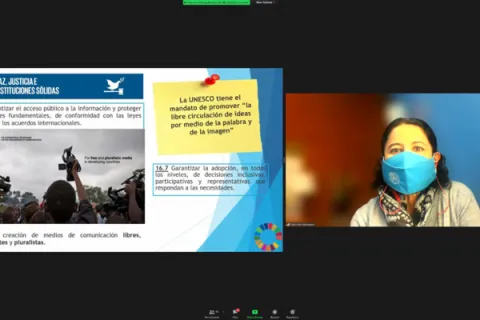 Captura de pantalla de la sesión virtual