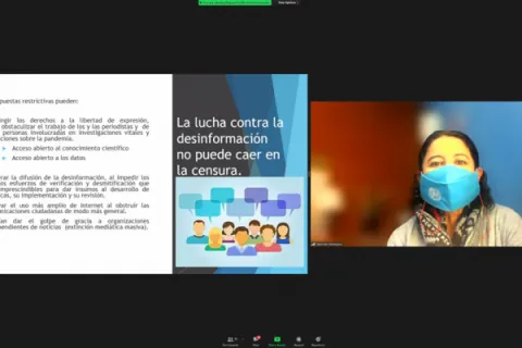 Captura de pantalla de la sesión virtual