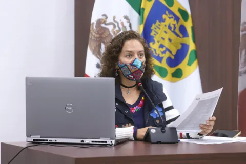 Captura de pantalla de la sesión virtual