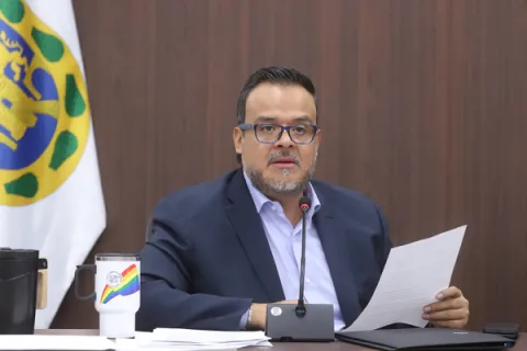 Captura de pantalla de la sesión virtual