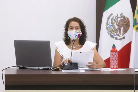 Captura de pantalla de la sesión virtual