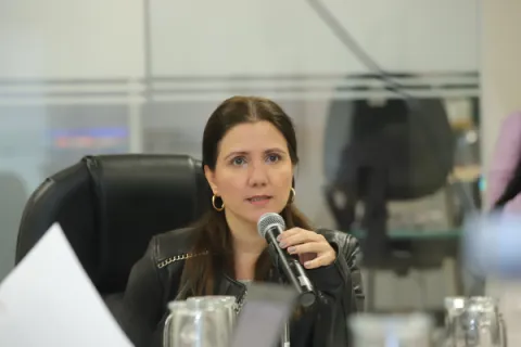 Captura de pantalla de la sesión virtual