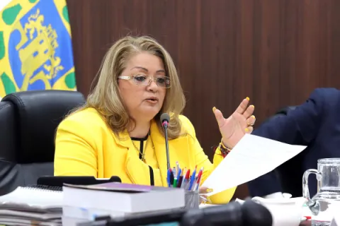 Captura de pantalla de la sesión virtual