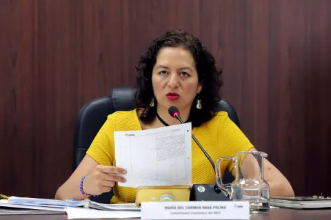 Captura de pantalla de la sesión virtual