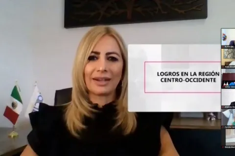 Captura de pantalla de la sesión virtual