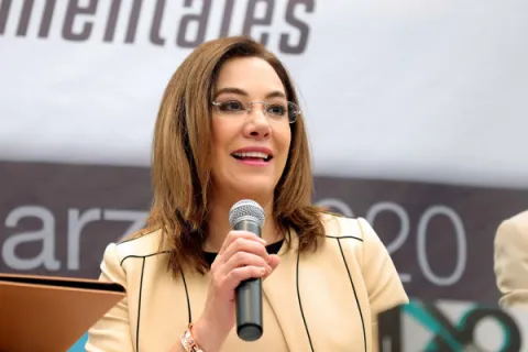 Captura de pantalla de la sesión virtual