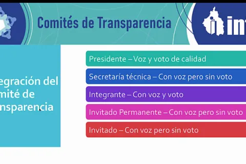 Captura de pantalla de la sesión virtual