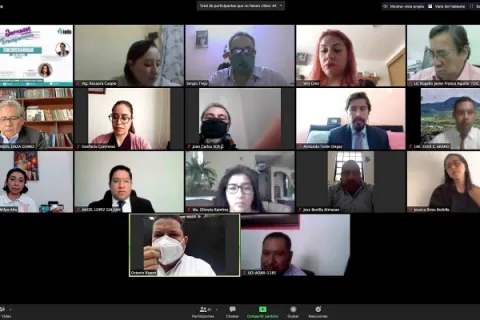 Captura de pantalla de la sesión virtual