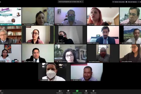 Captura de pantalla de la sesión virtual
