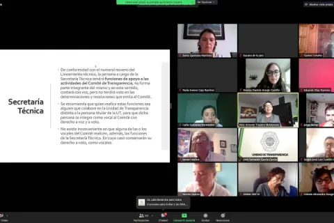 Captura de pantalla de la sesión virtual