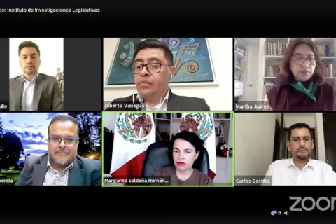 Captura de pantalla de la sesión virtual