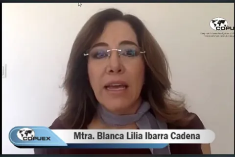 Captura de pantalla de la sesión virtual
