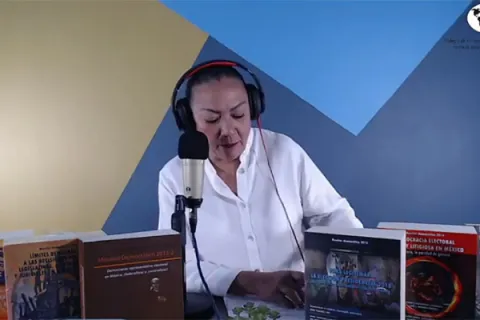 Captura de pantalla de la sesión virtual