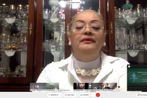 Captura de pantalla de la sesión virtual