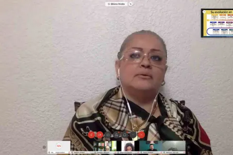 Captura de pantalla de la sesión virtual