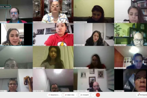 Captura de pantalla de la sesión virtual