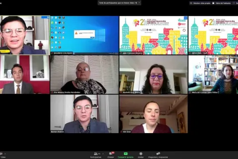 Captura de pantalla de la sesión virtual