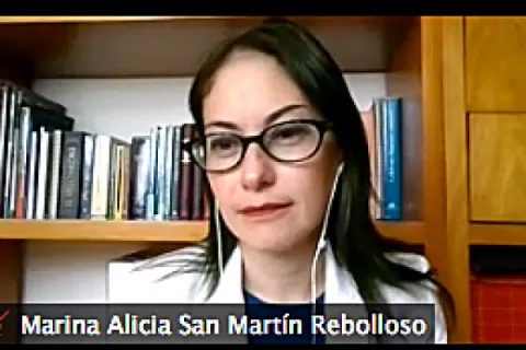Captura de pantalla de la sesión virtual
