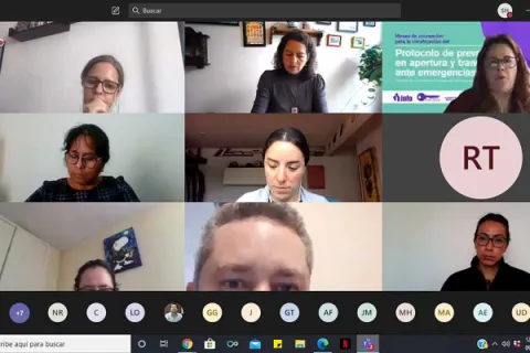 Captura de pantalla de la sesión virtual