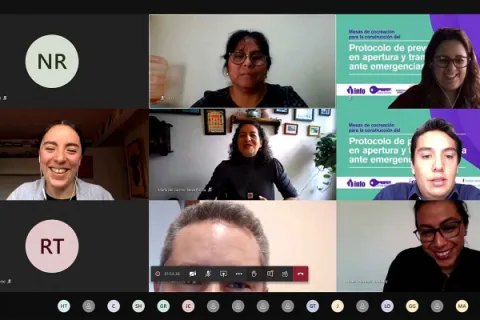 Captura de pantalla de la sesión virtual