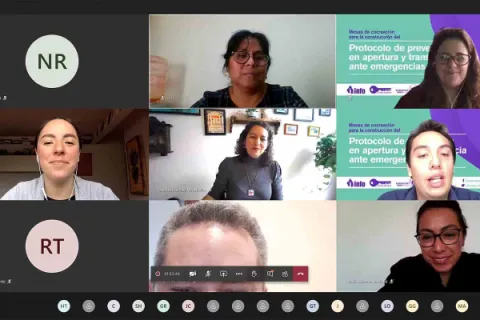 Captura de pantalla de la sesión virtual