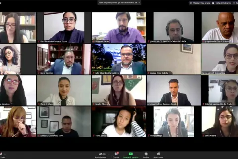 Captura de pantalla de la sesión virtual