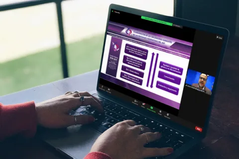 Captura de pantalla de la sesión virtual